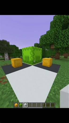 minecraft illusion 💀