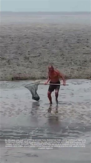 Traditional Shellfish Harvesting on Tidal Flats