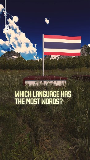 TheBrainMaze on Instagram: "Which Language Has The Most Words? - We created this video to compare the number of words across different major languages, using rising columns of books as a visual representation of dictionary size. Enjoy it!"