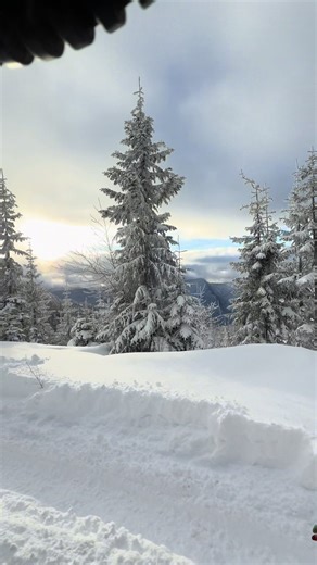 Explore the Beauty of Snowy Trees and Mountains