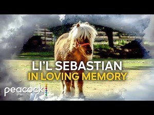 Li'l Sebastian: The Mini Horse, The Myth, The Legend | Parks and Recreation
