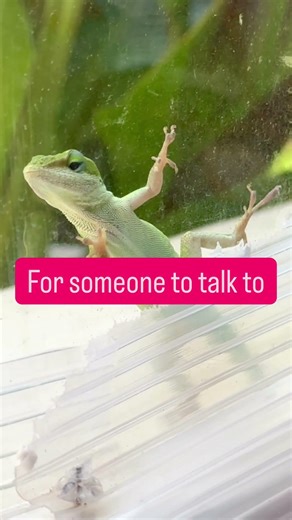 Communicate with Animals