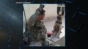 Soldier, Service Dog Reunited after Three Years Apart