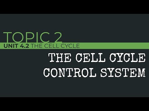 AP Biology: Cell Cycle Control System