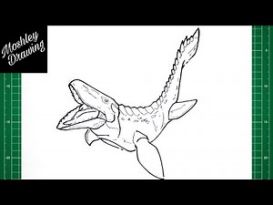 How to Draw Mosasaurus Step by Step