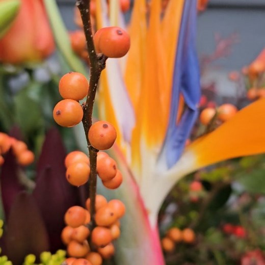 Samantha Cohen on Reels