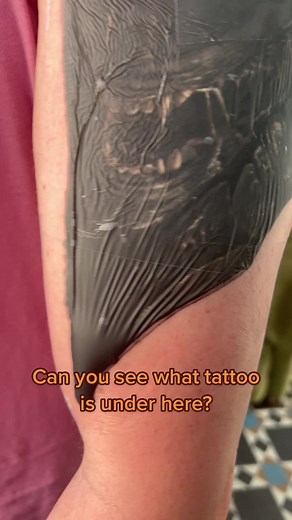 skinsandneedles on TikTok