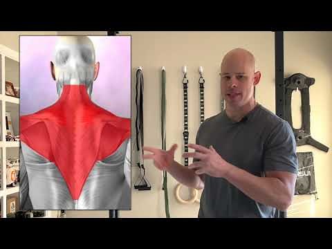 How to Build Up Your Upper Back With Calisthenics