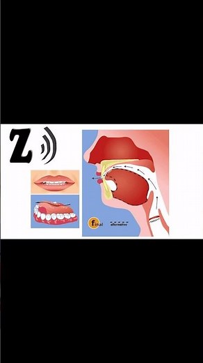 Why Milk Teeth Matter for Speech Development 👶🗣️ | Pediatric Dentist Tips