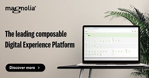 专为真实企业打造的可组合 DXP | Magnolia Headless CMS