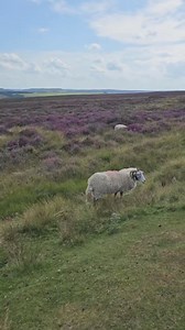 663K views · 10K reactions | Yorkshire  | Yorkshire Slang | Facebook