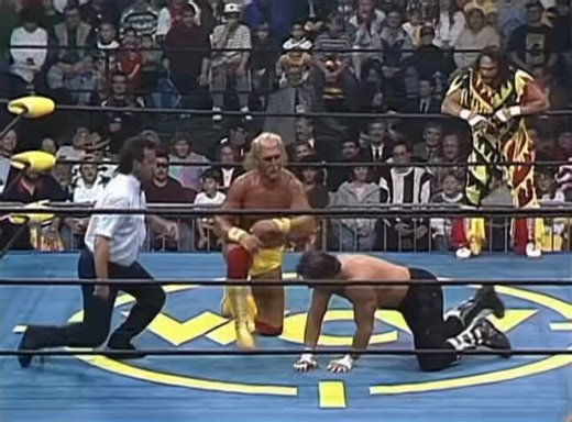 Oh yes the infamous Reviving Elbow. The Butcher knocks out Hogan with the sleeper and Randy Savage drops an elbow on his partner to wake him up. There is a logic to this, Hogan always Hulked Up after prior elbows, so why not one where Savage is a friend instead of a foe?