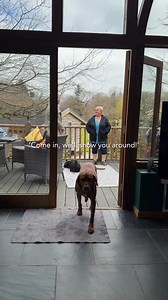 Your tour guide has four paws! 🐶🐾 Explore Lower Manor Lodge, Devon. A countryside retreat with over 3.5 acres of land, sleeping up-to 6 humans and 4 dogs. 🏡 Plus it's only a stones-throw away from Exmoor National Park. Who’s in? 🌳 Click this link for more info: https://social.caninecottages.co.uk/lower-manor-lodge | Canine Cottages