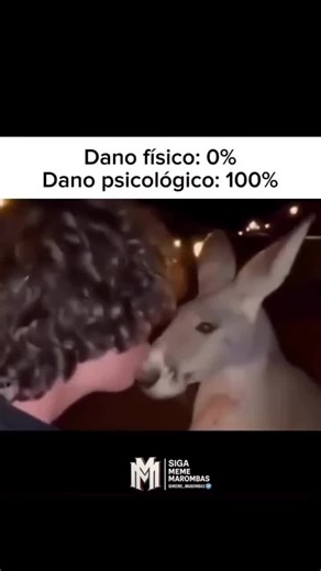 Onça e Memes: Humor Brasileiro em Dublagens Engraçadas