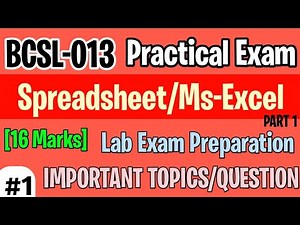 BCSL-013 Spreadsheet/Ms-Excel | Bcsl13 practical exam preparation | bcsl13 lab important questions
