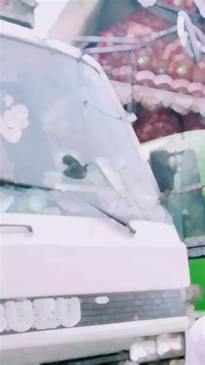 shaan Ali raan (@shaan.ali.raan)’s videos with original sound - Zakhmi Writers