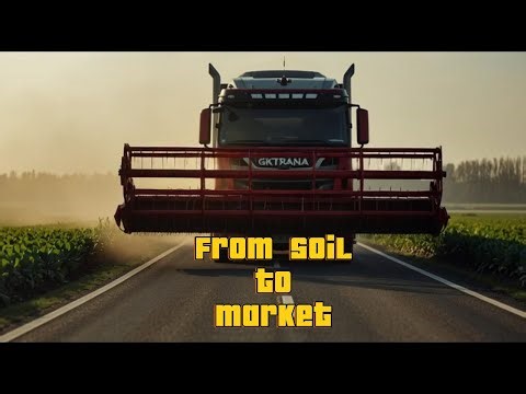 From Soil to Market | The Journey of a Vegetable | Farming Documentary#FoodProcessing#FarmToMarket