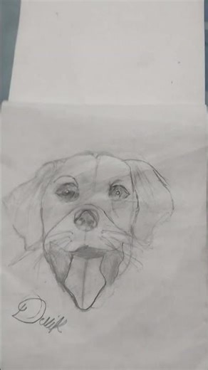 hard dog drawing