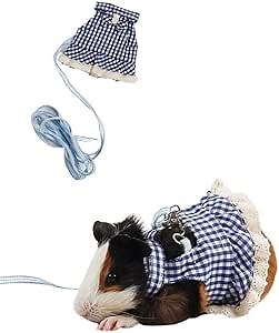 Guinea Pig Harness and Leash Set - Adjustable Vest with Cute Bow-Knot Costume Outfits Comfort for Guinea Pigs, Rat，Sugar Glider，Chinchilla and Similar Small Animals (Large,Blue)