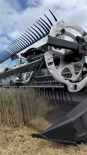 🔥 Fendt 10T Combine in the Wheat Field