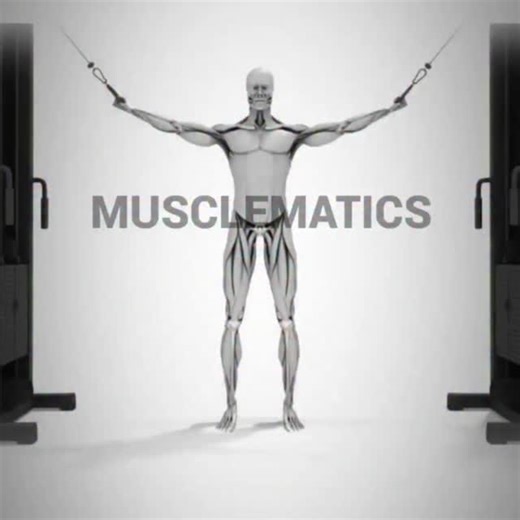 MuscleMatics on Instagram: "Mix up your #workout with this high-pulley cable #BicepCurl #exercise! 👉👉👉 @MuscleMatics ❤️RED=primary muscles worked 💚GREEN=secondary muscles worked 💪💪💪"