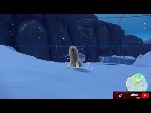 Cyndaquil Evolves Into Quilava Pokémon Violet The Indigo Disk DLC