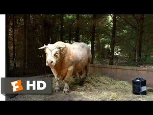 The Paris Opera (2016) - Easy Rider, the Opera Cow Scene (2/8) | Movieclips