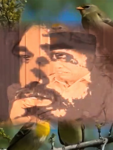 Guru Oemar Bakrie || Iwan fals #iwanfals #tembanglawas #lagulama #musik #hiburan