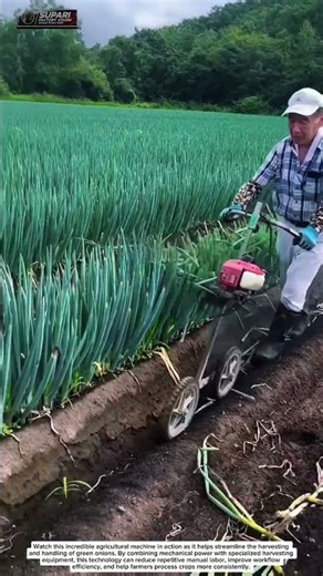 This Insane Farming Machine Is Changing Agriculture Forever! 🚜🔥