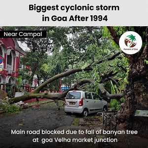 10K views · 186 reactions | GOA cyclone update. Visuals of destruction in its path. This storm is told to be the biggest cyclonic storm since 1994. Stay home. Stay safe. | Humans of Goa | Facebook