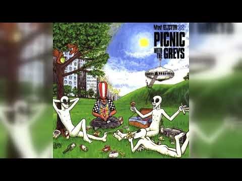 Mad Doctor X - Picnic With The Greys (Trip Hop, Future Jazz, Downtempo) (1997)