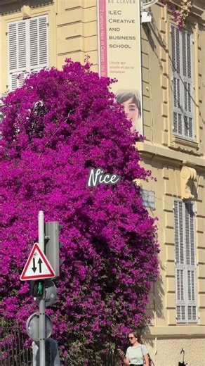 Nice, France : Une Ville Incroyable à Découvrir