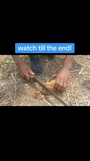 Geographics on TikTok