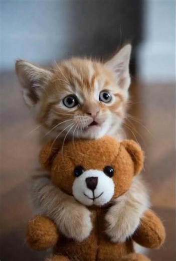 “Do not eat, too cute " #viral #cat #cute #trending