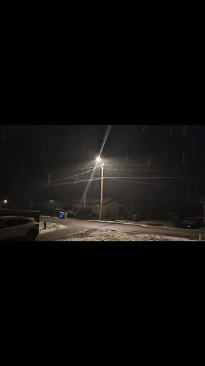 Hidden in the snow | Peter James Woods