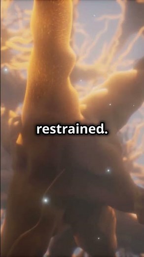 Hypothalamic-Pituitary-Adrenal Axis (HPA Axis)