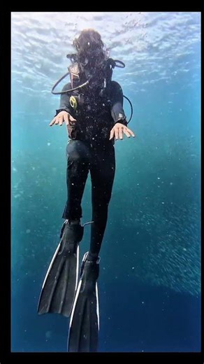 First underwater adventure scuba diving experience in Pacific Ocean 🌊💫💥🎊🐟🐠🦋.#scubadiving #underwater
