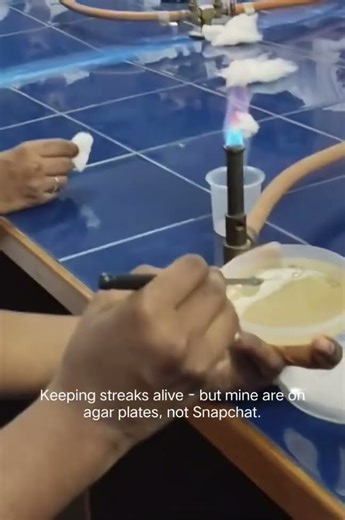 Snapchat count days; streak plate counts colonies.streaking#microbiology#culture#colonies#snapchat