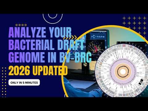 How to Analyze Your Own Draft Genome Using BV-BRC Platform: 2026 Complete Tutorial