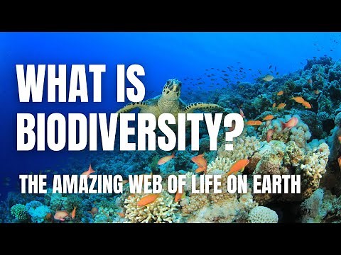 Biodiversity: The Amazing Web of Life on Earth | Middle School Science