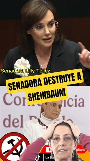 Senator Destroys Sheinbaum #Mexico TRUMP