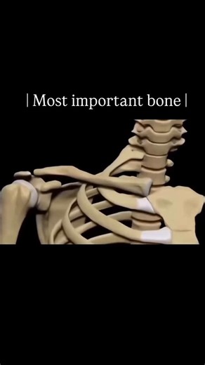 Mohit Sikarwar on Instagram: "Alien gains 🗿 #drdestructionworld"