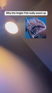 818K views · 27K reactions | That Angler fish had to fart #comedy #satire #anglerfish #angler #scienceteacher #science | Mr. Williams PreK Pause | Facebook