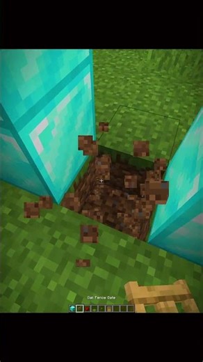 Minecraft Invisible Door... 💀