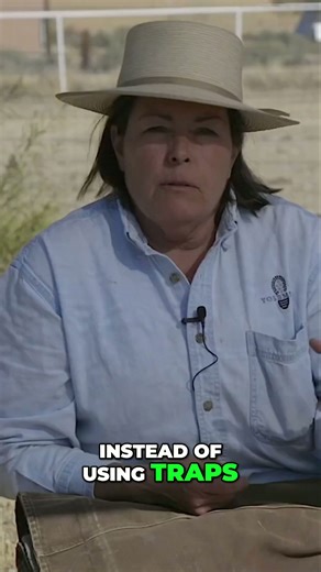 Protect your livestock with non-lethal predator deterrence!