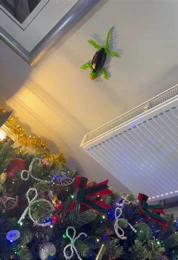 Gravity defying remote controlled lizard that can actually walk on walls. OMG this is truly amazing and will occupy the kids for hours. A perfect gift for Christmas and one you won't regret. #kidsgift #toy #rctoys #remotecontrol #giftidea