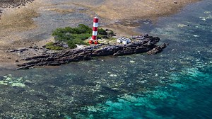 Coral Bleaching Devastates Great Barrier Reef