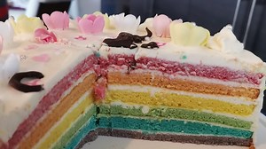 Webframework CakePHP 4.1 erweitert die Datenbankschicht