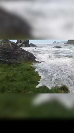 Hope They Made It