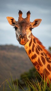 Why you should Explore when you have a chance Exploring can enhance personal growth, broaden perspectives, and lead to new experiences and memories. It can challenge comfort zones, promote mental well-being, and increase cultural understanding and language learning. Exploring also boosts confidence and personal development, improves relationships, and helps individuals move forward and relax. | Moses Kisembo